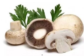 吃瓜爆料蘑菇视频,吃瓜爆料蘑菇视频带你探秘幕后真相