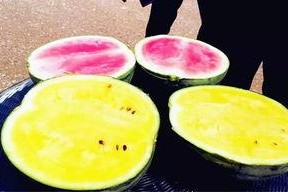 爆料吃瓜必吃大瓜图片大全