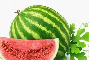 娱乐吃瓜背景图高清竖屏,高清竖屏下的娱乐圈风云